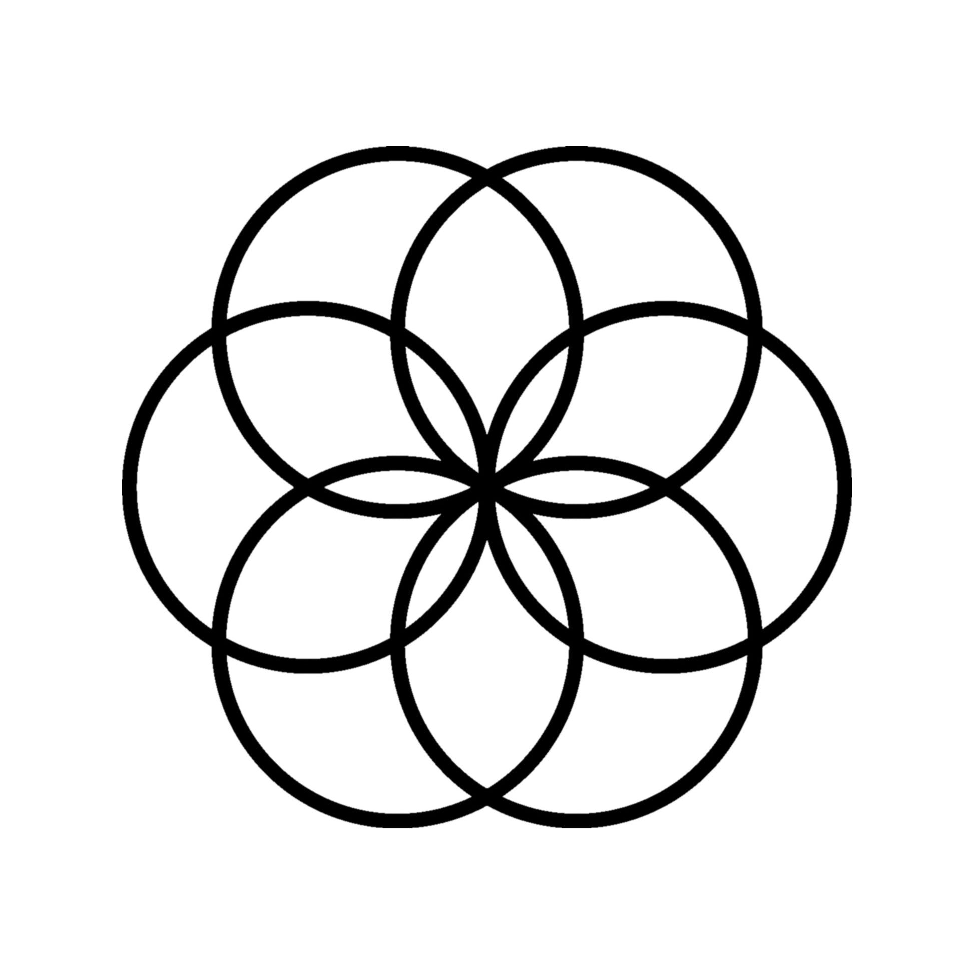 On a white background, the Cerelia Metal Circles Wall Decor is showcased as a striking piece of modern art.