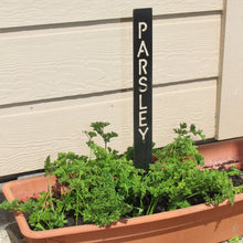 Load image into Gallery viewer, Black Painted Garden Stake Sign in a pot